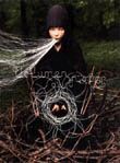 Bjork: Volumen