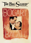The Big Sleep