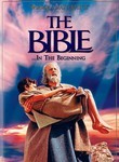 The Bible... In the Beginning