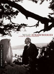 Wild Strawberries (Smultronstället) poster