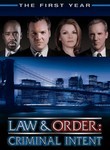 Law & Order: Criminal Intent: The First Year (6-Disc Series)
