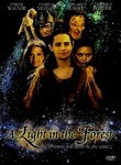 A Light in the Forest