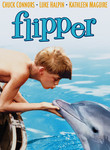 Flipper