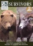 Wildlife Survivors: Bear Wars / Wildlife Vet