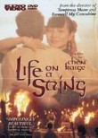 Life on a String