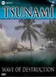 Tsunami: Wave of Destruction