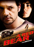 A Red Bear