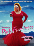 Pink Flamingos poster
