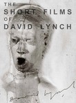 The Short Films of David Lynch