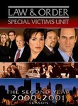 Law & Order: Special Victims Unit: The Second Year (6-Disc Series)