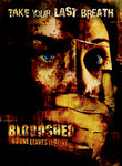 Bloodbrothers poster