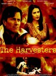 The Harvesters