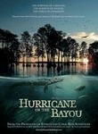 Hurricane on the Bayou