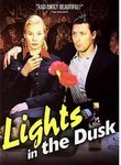 Lights in the Dusk