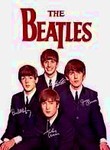 The Beatles: Looking Back at the Beatles (3-Disc Series)