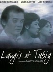 Langis at Tubig