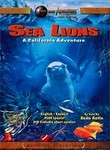 Sea Lions: A California Adventure
