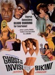 The Ghost in the Invisible Bikini
