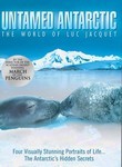 Untamed Antarctic