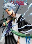 Bleach: Vol. 12: The Rescue