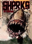 Sharks in Venice
