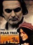 The Pear Tree