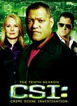 CSI: Crime Scene Investigation: Season 10
