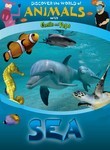 Discover the World of Animals: Sea