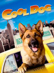 Cool Dog
