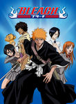 Bleach: Vol. 3: The Substitute