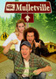 Mulletville