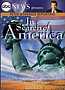 In Search of America