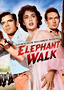 Elephant Walk