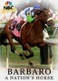 Barbaro: A Nation's Horse