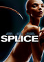 Splice